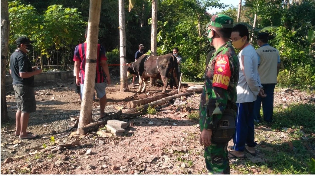 Lurah Borokulon Pantau Pelaksanaan Penyembelihan Hewan Kurban Di Masa PPKM Darurat