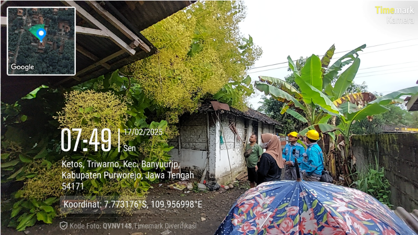 Pohon Tumbang Triwarno menimpa rumah